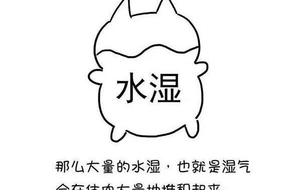 体内湿气重,浑身难受,先别急,附1方调理,湿气全无