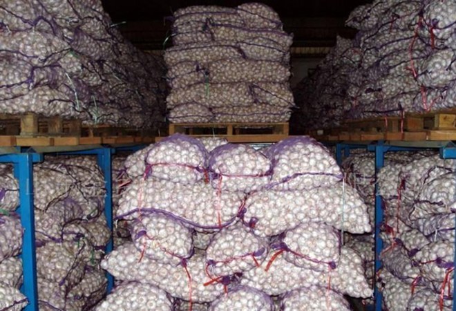 怎样储存大蒜不易发芽?发芽后的大蒜还可以吃