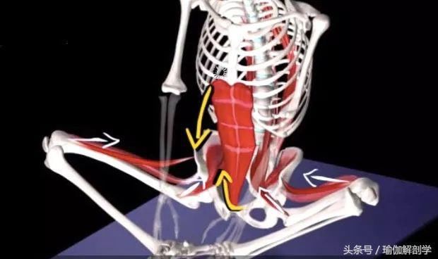 有效缓解经期疼痛的瑜伽束角式,你做对了吗?