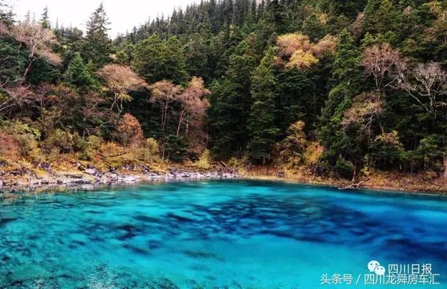 好消息!九寨沟重新开放时间终于确定