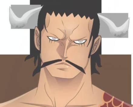 海贼王:岁月是把杀猪刀,四皇年轻时都是高颜值,凯多容貌秒鹰眼