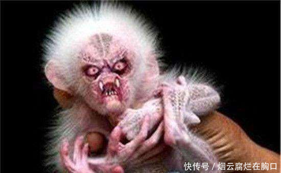 广东水库抓到一只女鬼, 专家解释不是水猴子