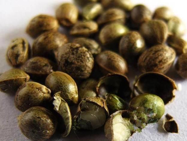 幽门螺旋杆菌的克星终于被发现,每天喝几口,