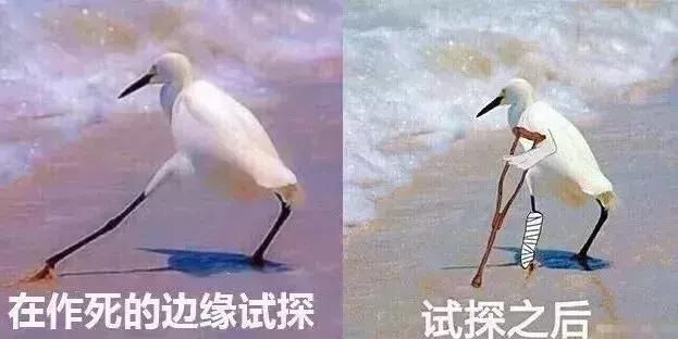 广东最恐怖玻璃桥!比张家界玻璃桥刺激10000