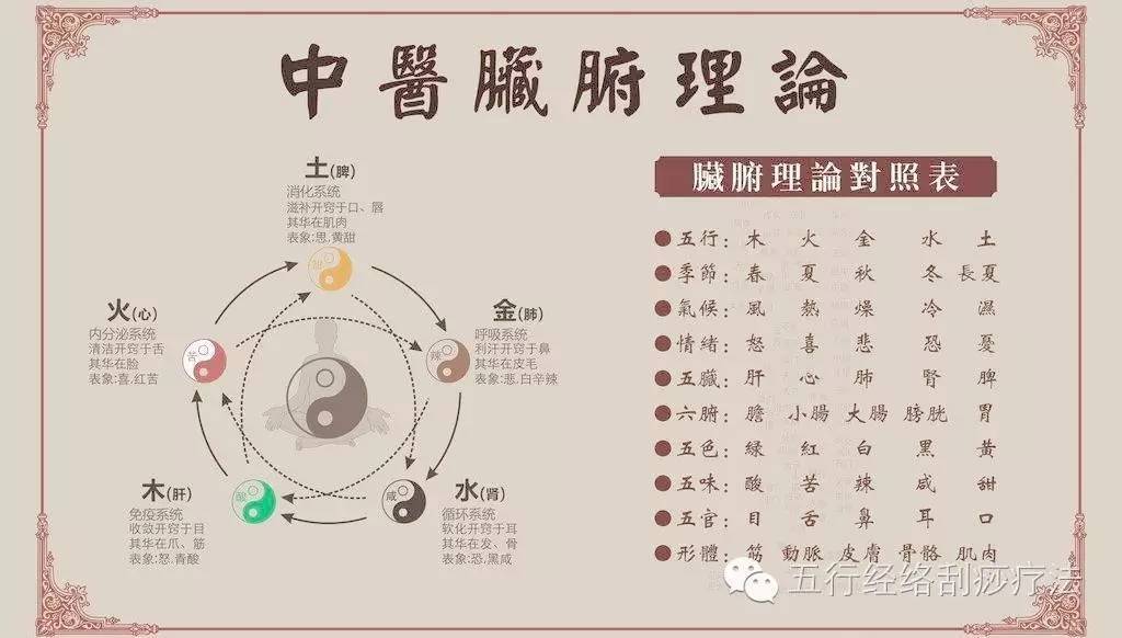 每天学一点中医之五行学说