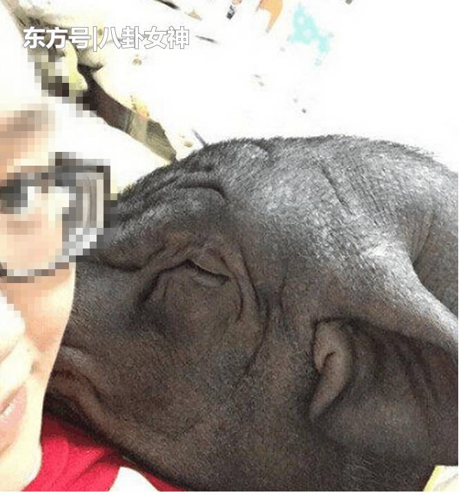 女孩与猪生活5年 习惯和它同吃同住 热点 热图4 女孩与猪生活5年 习惯和它同吃同住 热点 热图4