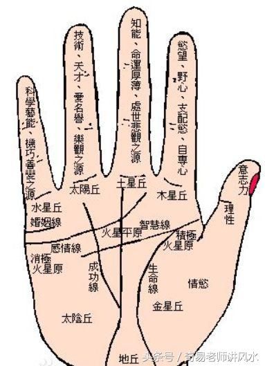 10種罕見手紋 如果你也有 那真是要恭喜了 雪花新闻