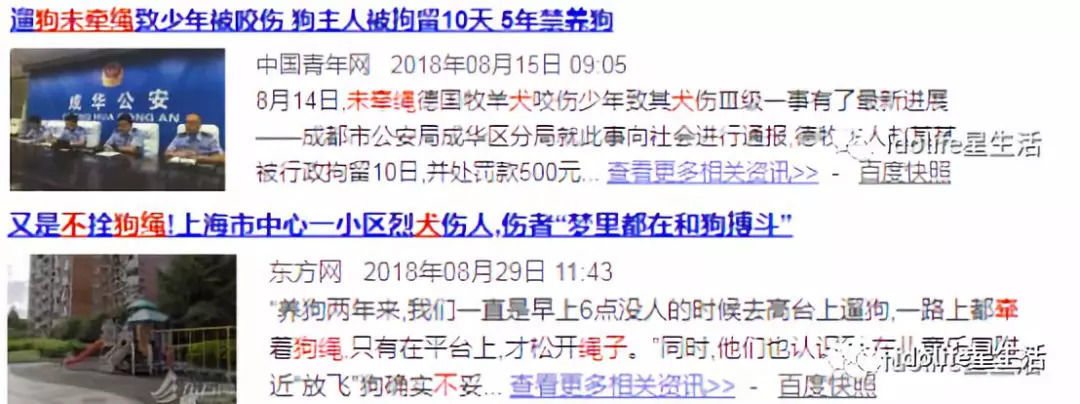且不说到底该不该养，因为一条没牵绳的狗发生意外的惨例，还不够吗?