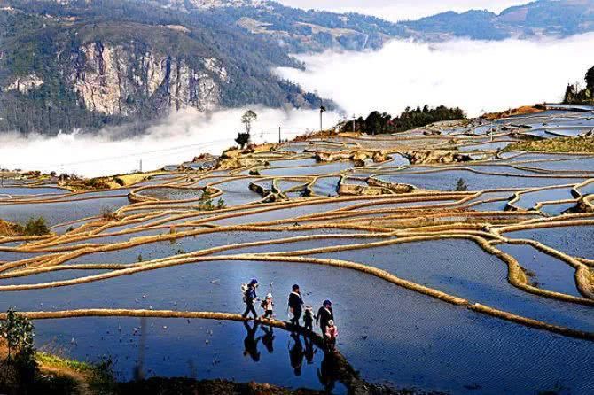 飞机上禁烟却还设烟灰缸?日本樱花啥时候去赏
