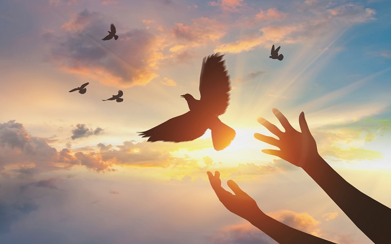 杭州教练技术培训,在心度文化学会了经营梦想