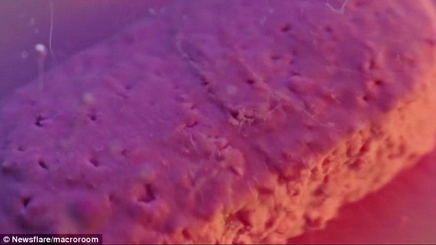 第三类参与实验的药物是扑热息痛（paracetamol），这是一种粉红色的药片，属于最常用的非抗炎解热镇痛药物类型之一。