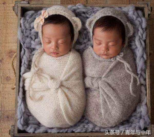 谢娜产下双胞胎:试管婴儿不是想有就有的!有多
