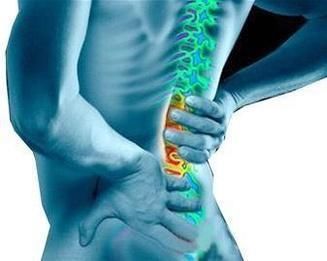 民间中医土方子,治腰椎间盘突出,一种野草根加