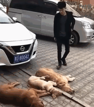 301_340gif 动态图 动图