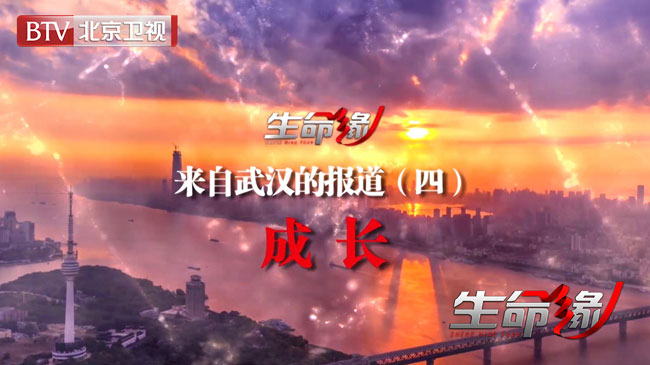 《生命缘》来自武汉的报道(四)成长 《生命缘》来自武汉的报道(四)成长