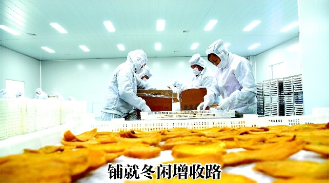 铺就冬闲增收路