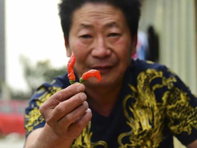 中国辣王:远赴海外击败印度人,挑战魔鬼辣椒轻