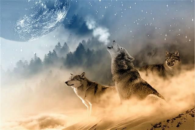 网络小说用第一人称写被吐槽,网友:你写第一人