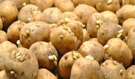 4岁宝宝吃了妈妈炒的菜,送进抢救室!医生怒斥