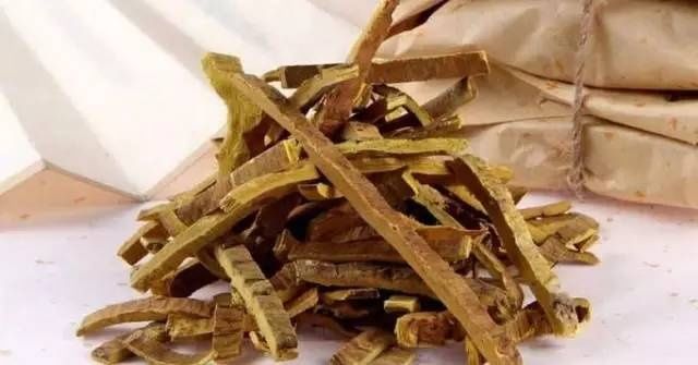 栀子柏皮汤的大效用