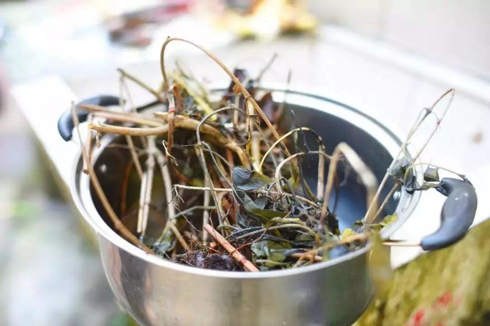 刺,白胭脂棉,白秋风丝,白土牛膝,白锦鸡儿,白山棉花,白鸡血藤,白地牛