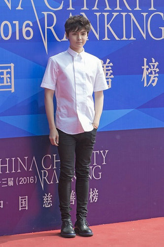 中国慈善榜 侯明昊年龄最小的明星慈善家