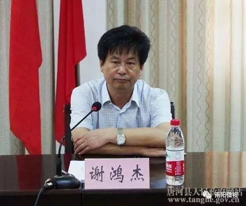 南阳市唐河县人大常委会党组副书记谢鸿杰接受审查