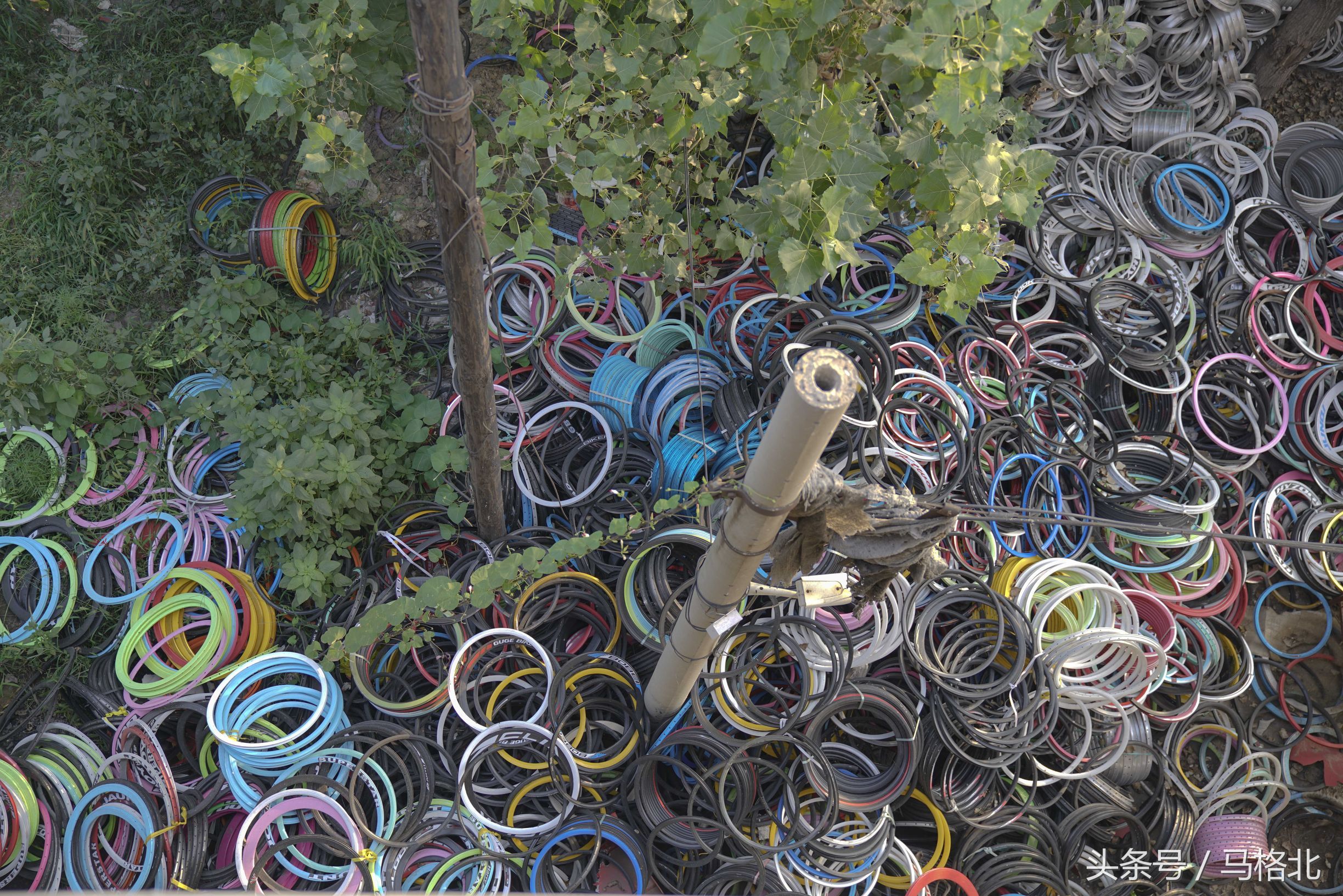 贵圈有点乱!共享单车出生地自行车第一镇如