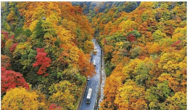 四川的巴中是四川最穷的市吗?为什么就是发展