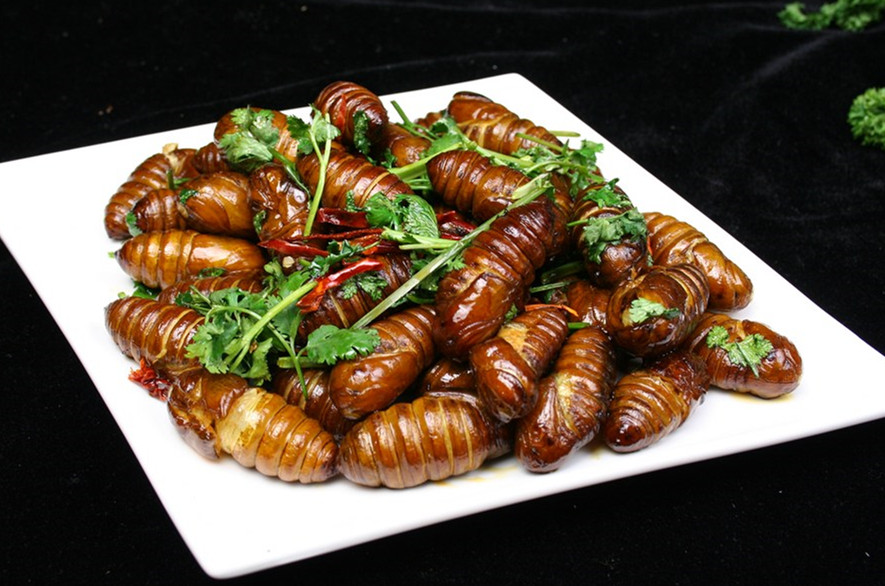 吃蚕蛹会上火吗?原来蚕蛹的营养价值这么高