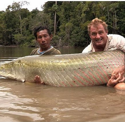 英国垂钓爱好者汤森在南美洲圭亚那钓上来这条巨大的野生巨滑舌鱼，重250磅(约113公斤)。