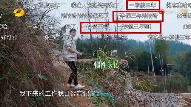 谢娜生娃张杰傻三年,幸福秀宝宝照片,透露长相