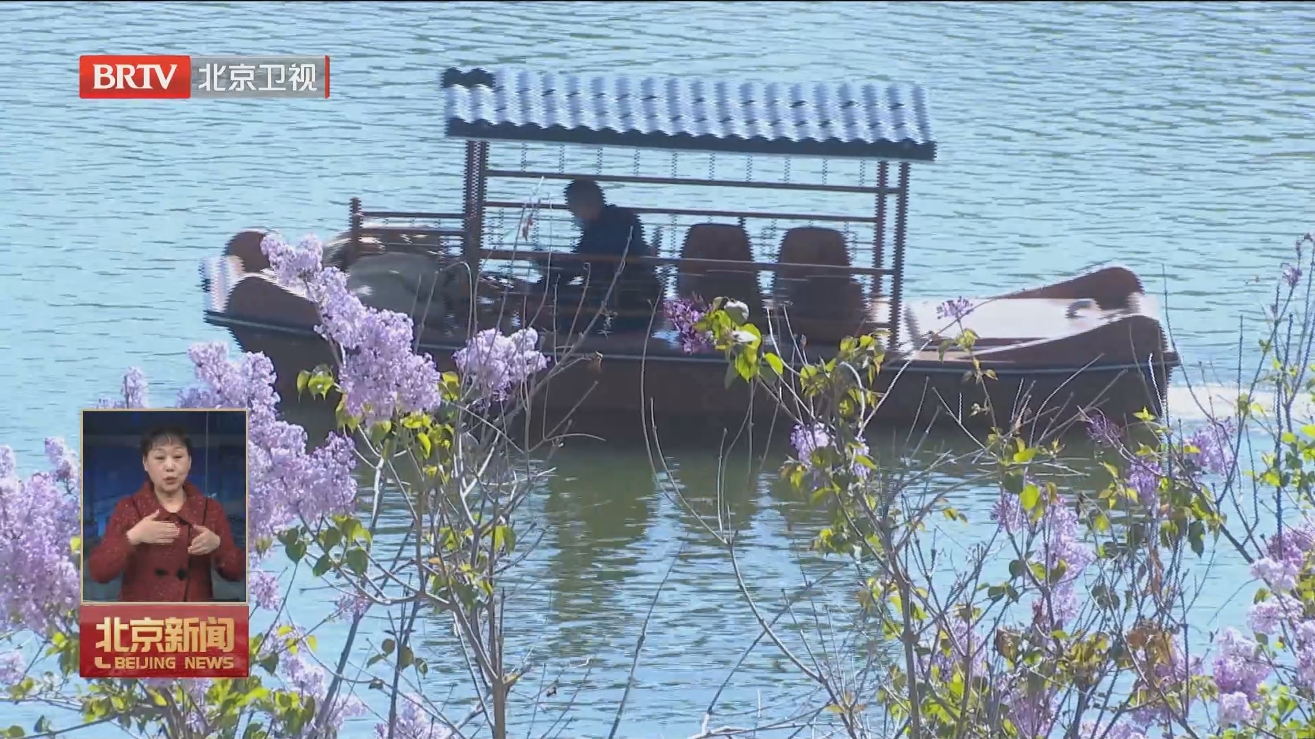 春雨催花开 昌平文旅“热”起来 春雨催花开 昌平文旅“热”起来