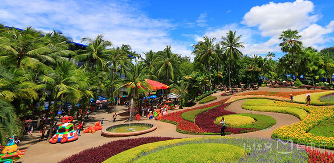 去芭提雅就这么玩!看秀 出海 日游,经典线路大揭秘!-北京时间