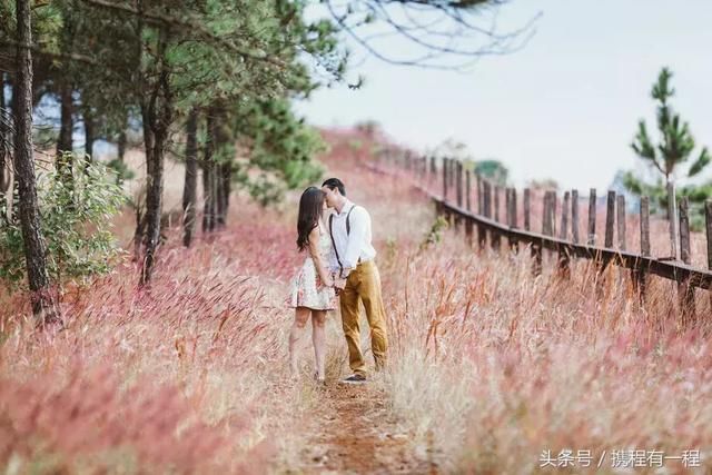 黄渤竟和这个女人结婚7次?林志玲居然还坦言