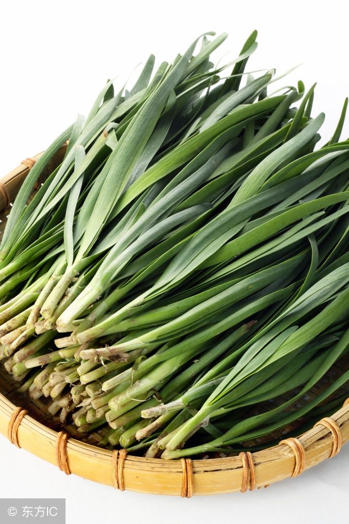 韭菜营养价值高,这些人却不能吃!