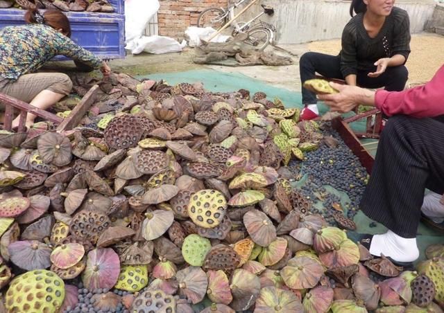 一个农村家庭富不富裕,还得看这两方面的收入