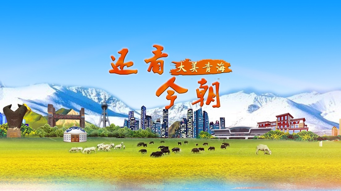 还看今朝|青海在这个领域创下一项世界纪录,真的让人振奋! 还看今朝|青海在这个领域创下一项世界纪录,真的让人振奋!