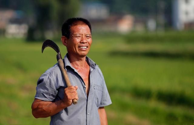 农村光棍越来越多,娶妻难问题如何解决?专家给