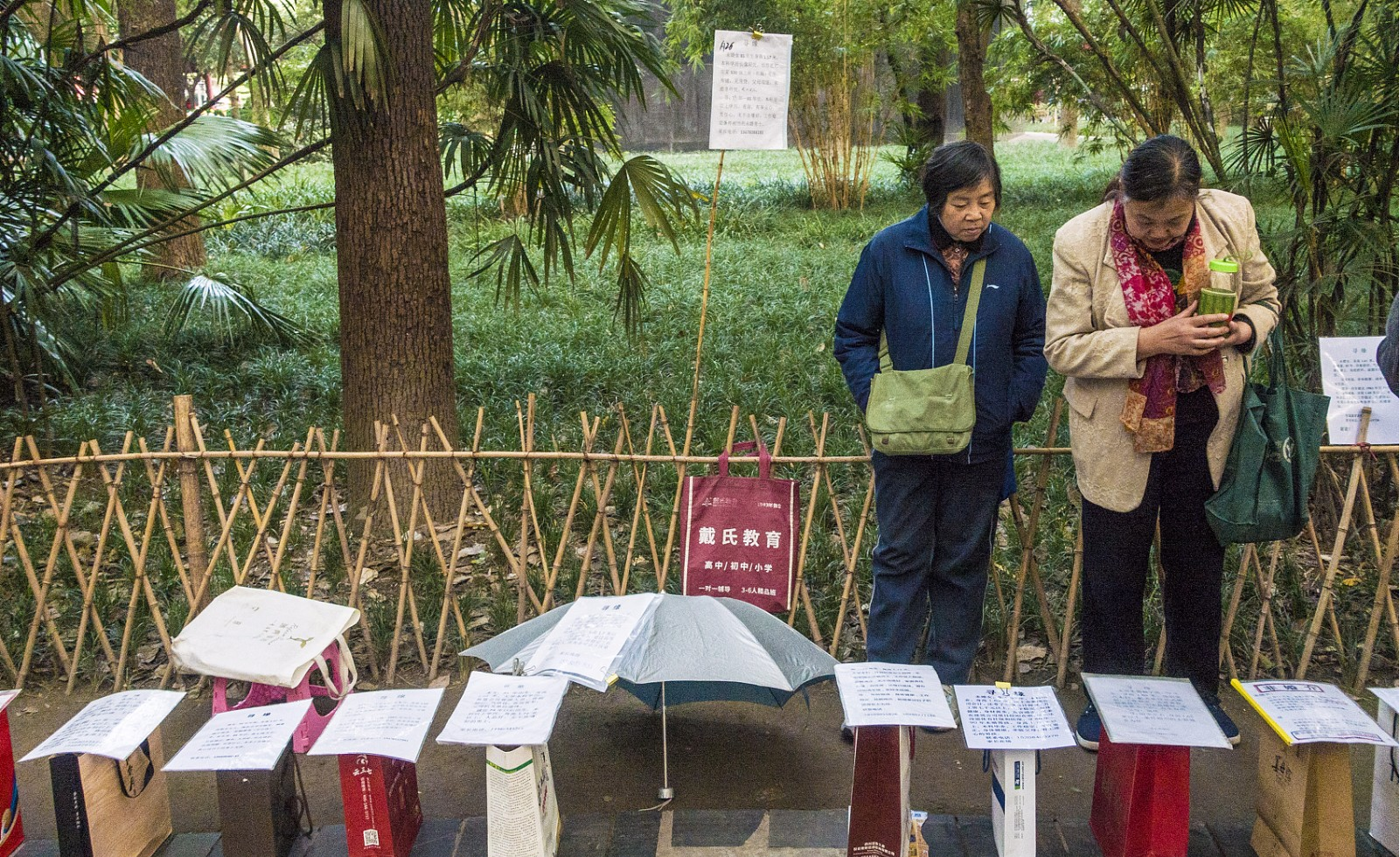 11月21日，四川成都，人民公园小树林的相亲角自发形成已有多年，树林里人头攒动，数百父母“摆摊”为儿女相亲，场面壮观。