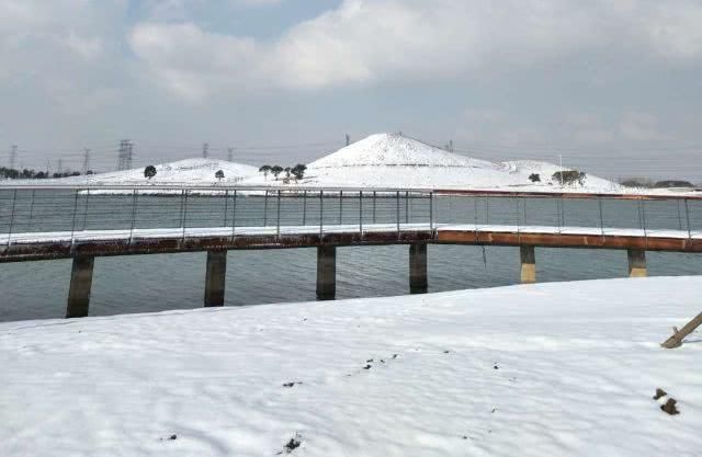 黃泗浦生態園於2014年啟動建設,截止今年一月底,東湖北側景觀地帶的