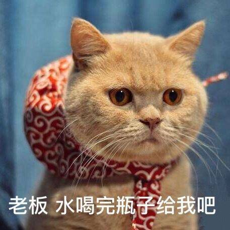 叶檀:55%的中国家庭几乎没有存款 南京有钱人抢房就是为套利