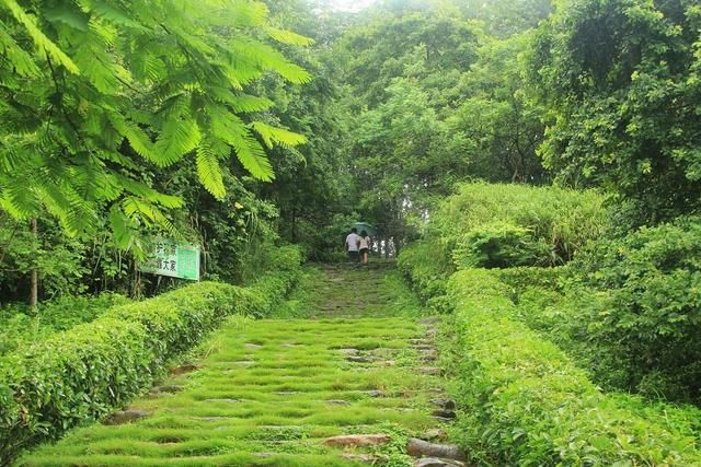 广东最穷的10个市,比贵州,甘肃等西部地区还不
