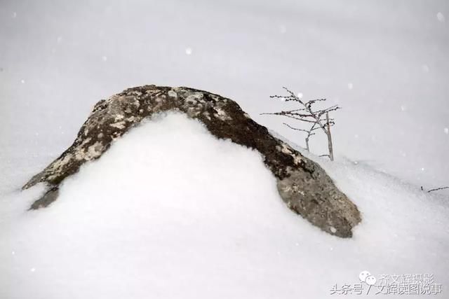 四川德格美丽的玉隆拉措风景区