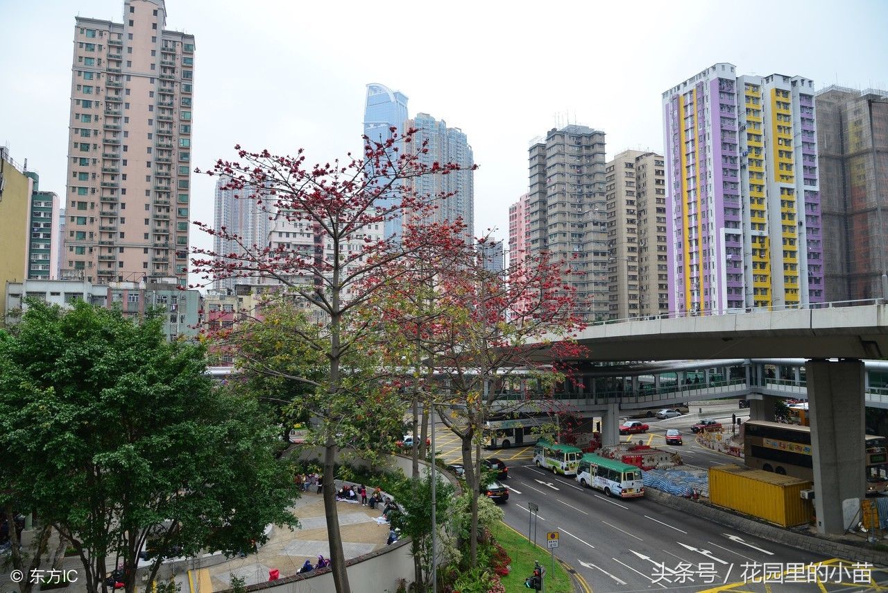 四川21州市经济排名,成都GDP1.4万亿,绵阳德