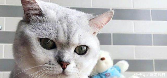 丁满和安娜需要华谊兄弟的资料吗我俩也偷偷叼