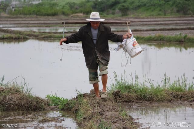 2018年农村土地改革新规,一户一宅还没走,一户