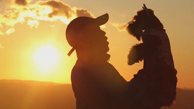 创业！海归夫妇的萌宠奇遇记