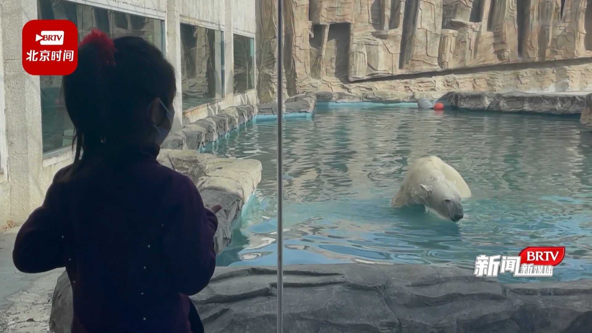 北京动物园上新啦！这里的文创萌萌哒~