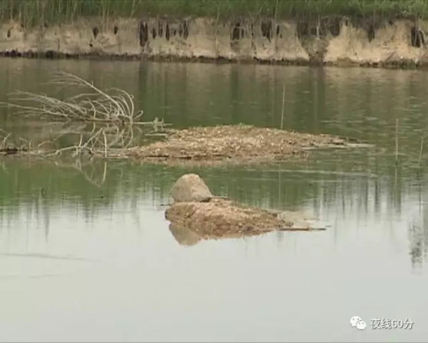 安徽利辛七名学生水边玩耍三人溺亡,遇难者刚刚参加完中考 安徽利辛七名学生水边玩耍三人溺亡,遇难者刚刚参加完中考